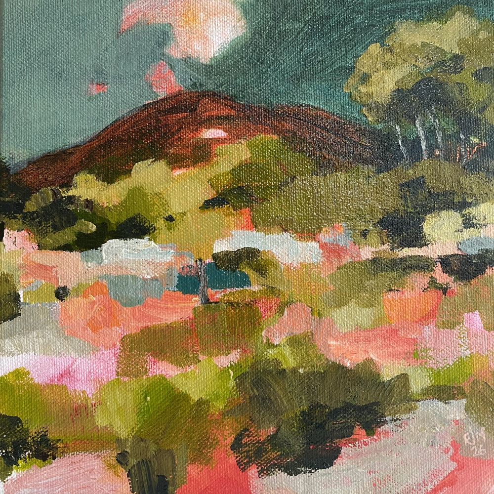 Shoalhaven Evening Study