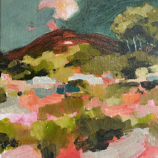 Shoalhaven Evening Study