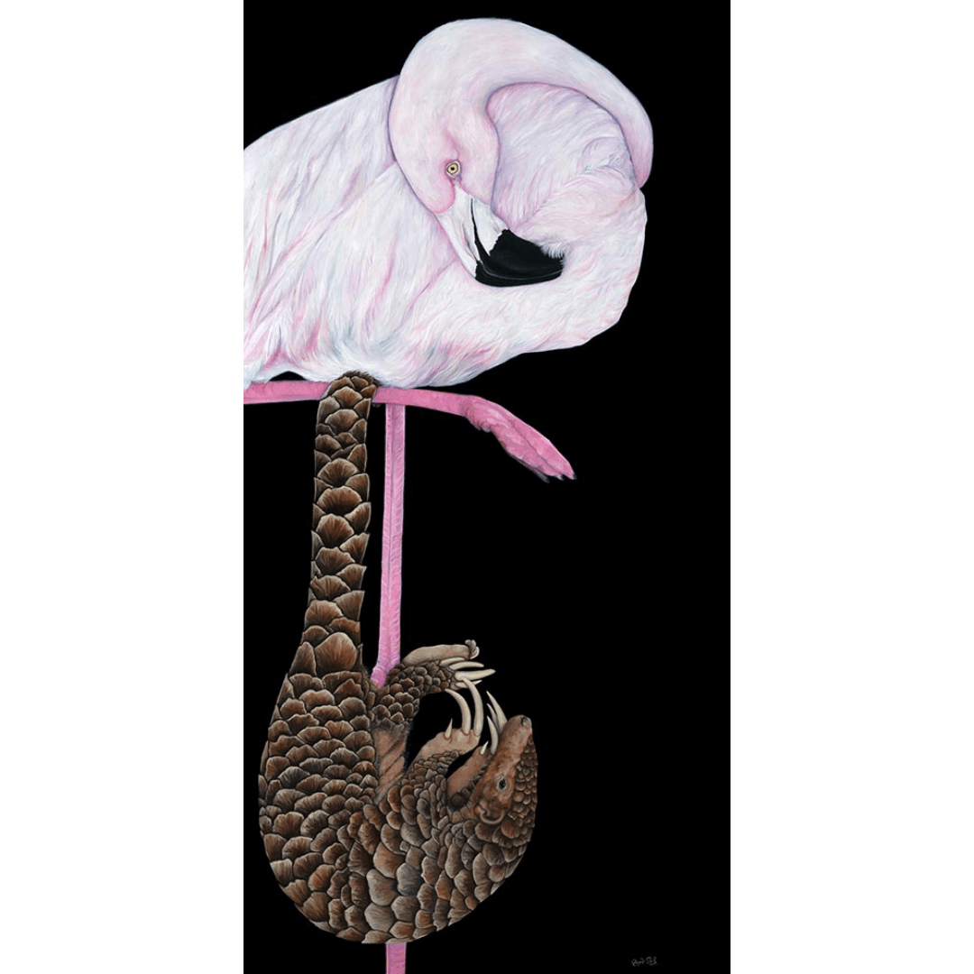 Just Hanging in there