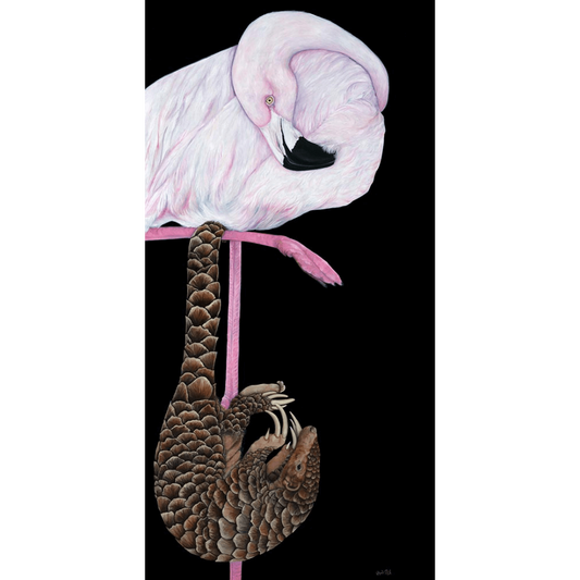 Just Hanging in there