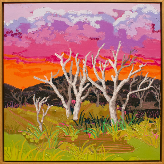 Gumtrees at Sunset
