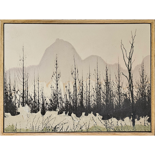 Fog Rising Up to Meet The Pines