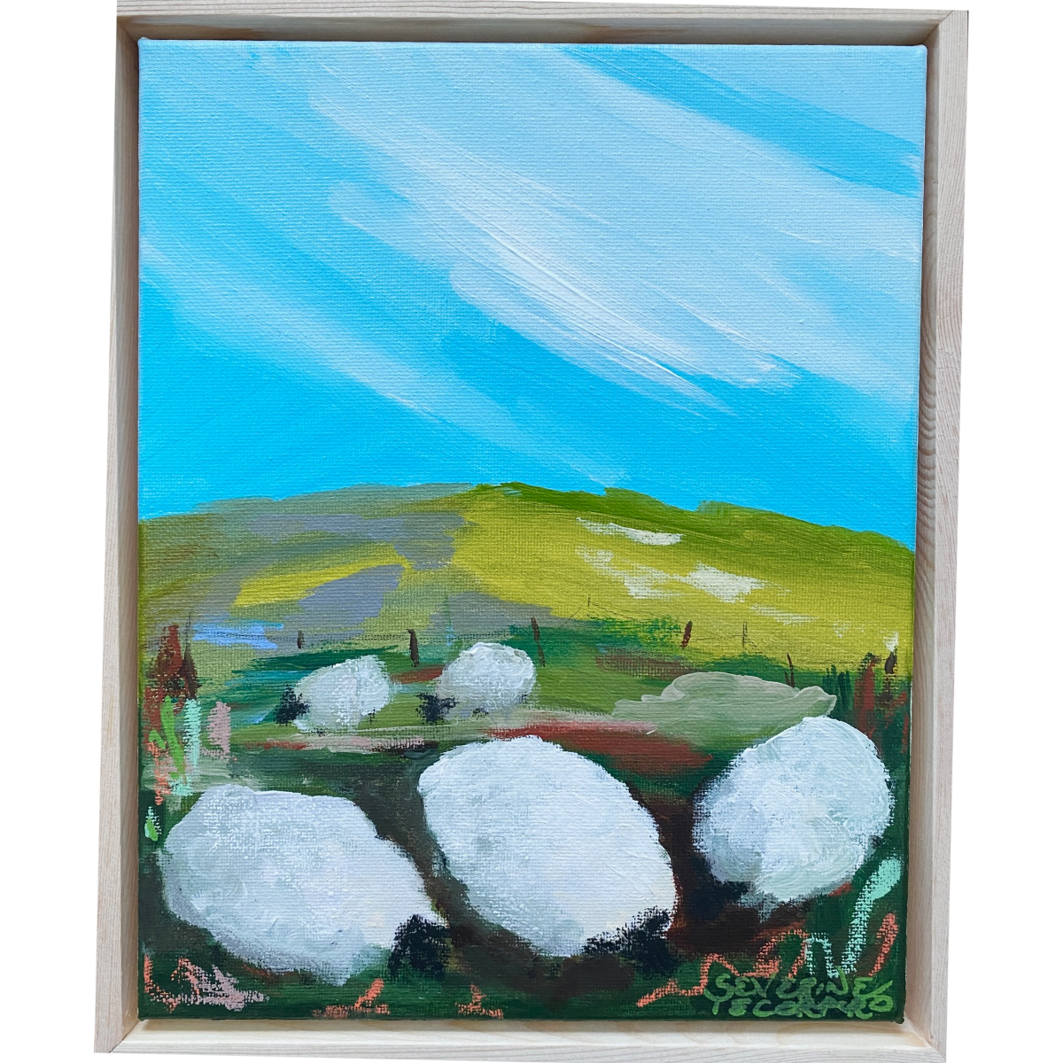 Woolly Wanderings IV