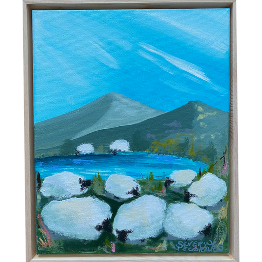 Woolly Wanderings II