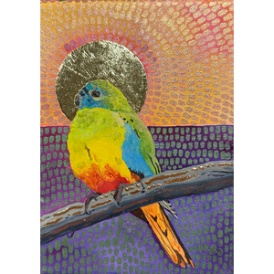 Scarlett parrot under a Yan sun