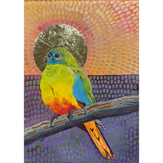 Scarlett parrot under a Yan sun