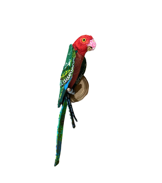 Wall Mounted Male King Parrot