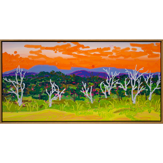 Sizzling Sky at Blueridge