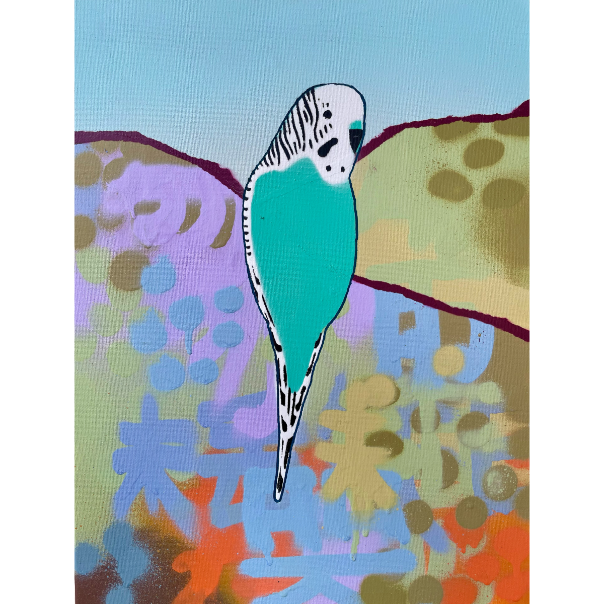 Small Blue And White Budgie no.2