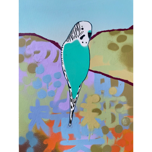 Small Blue And White Budgie no.2