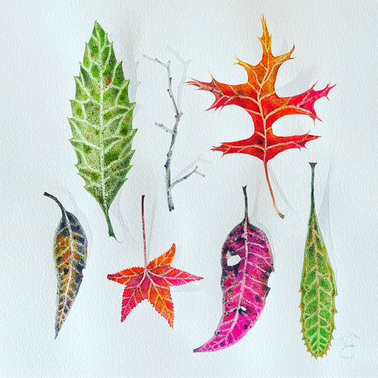 This Is Not A Herbarium