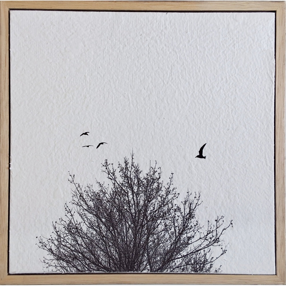 Bird Left Behind