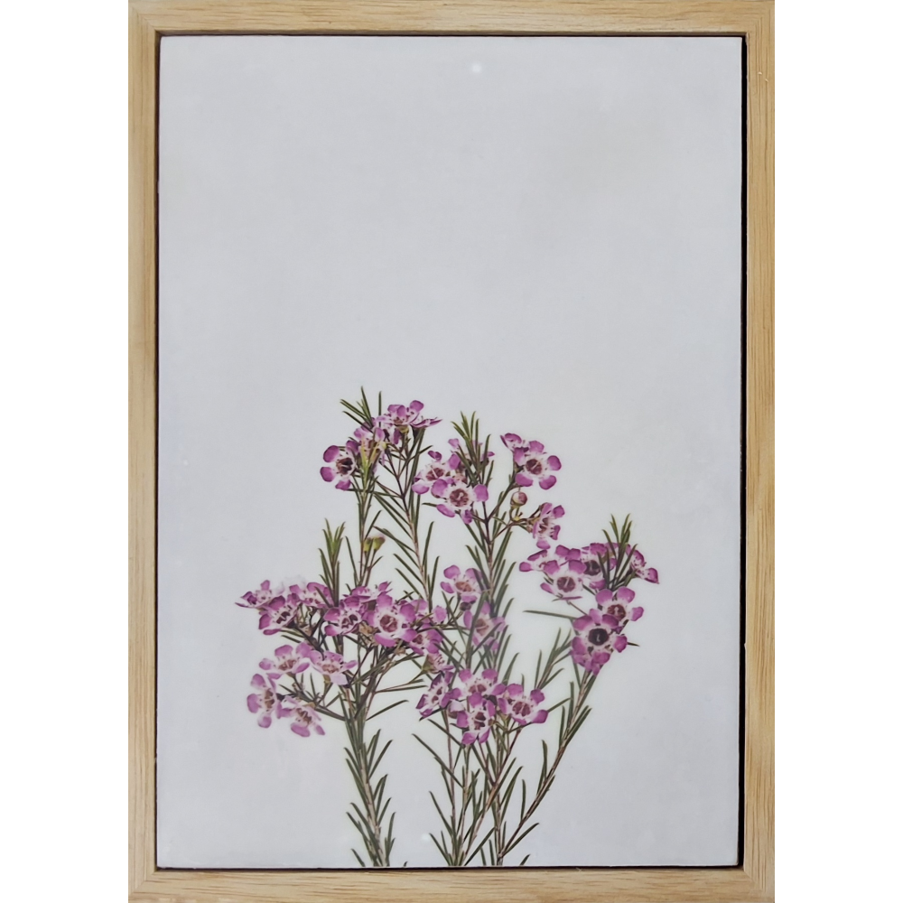 Flowers of Spring 5