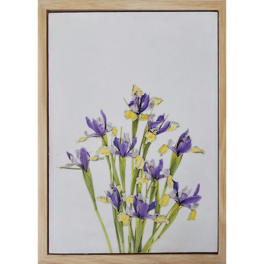 Flowers of Spring 8