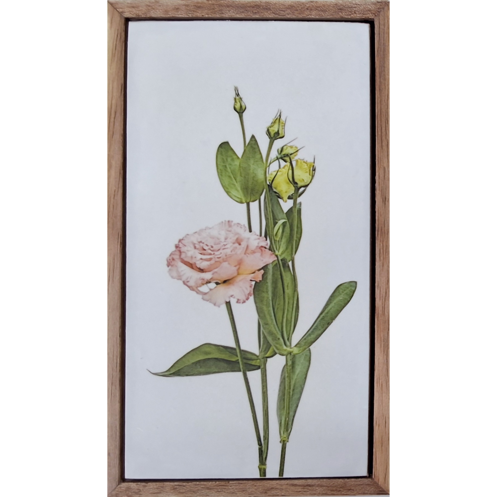 Flowers of Spring 19