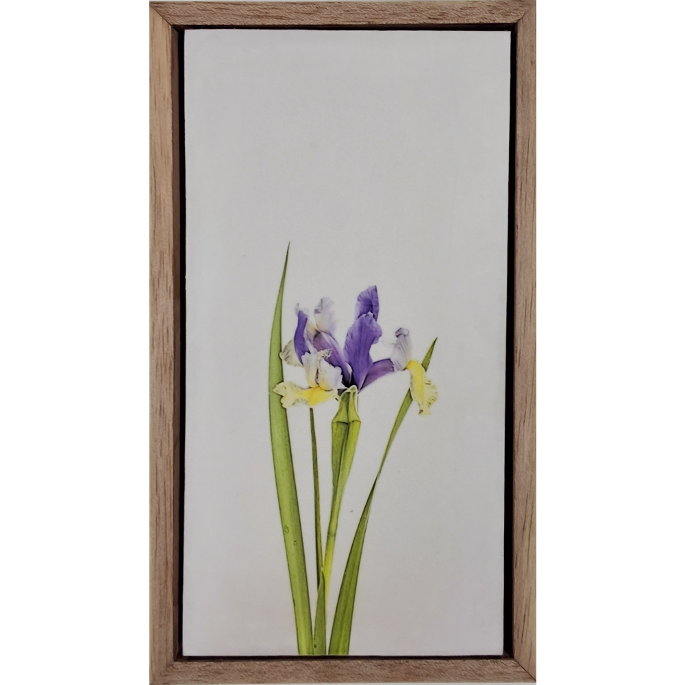 Flowers of Spring 21