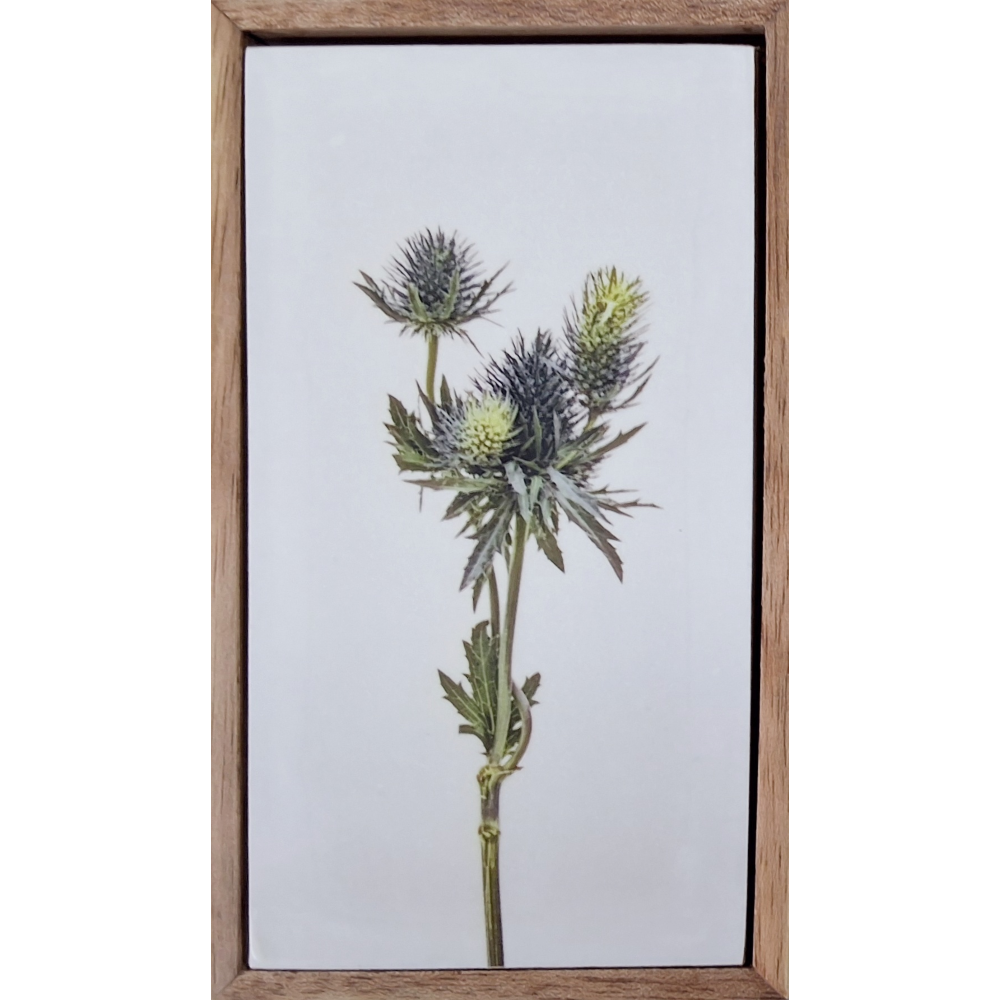 Flowers of Spring 22