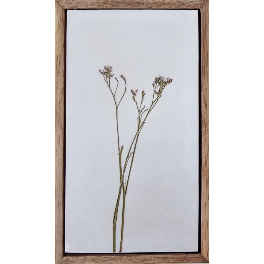 Flowers of Spring 23