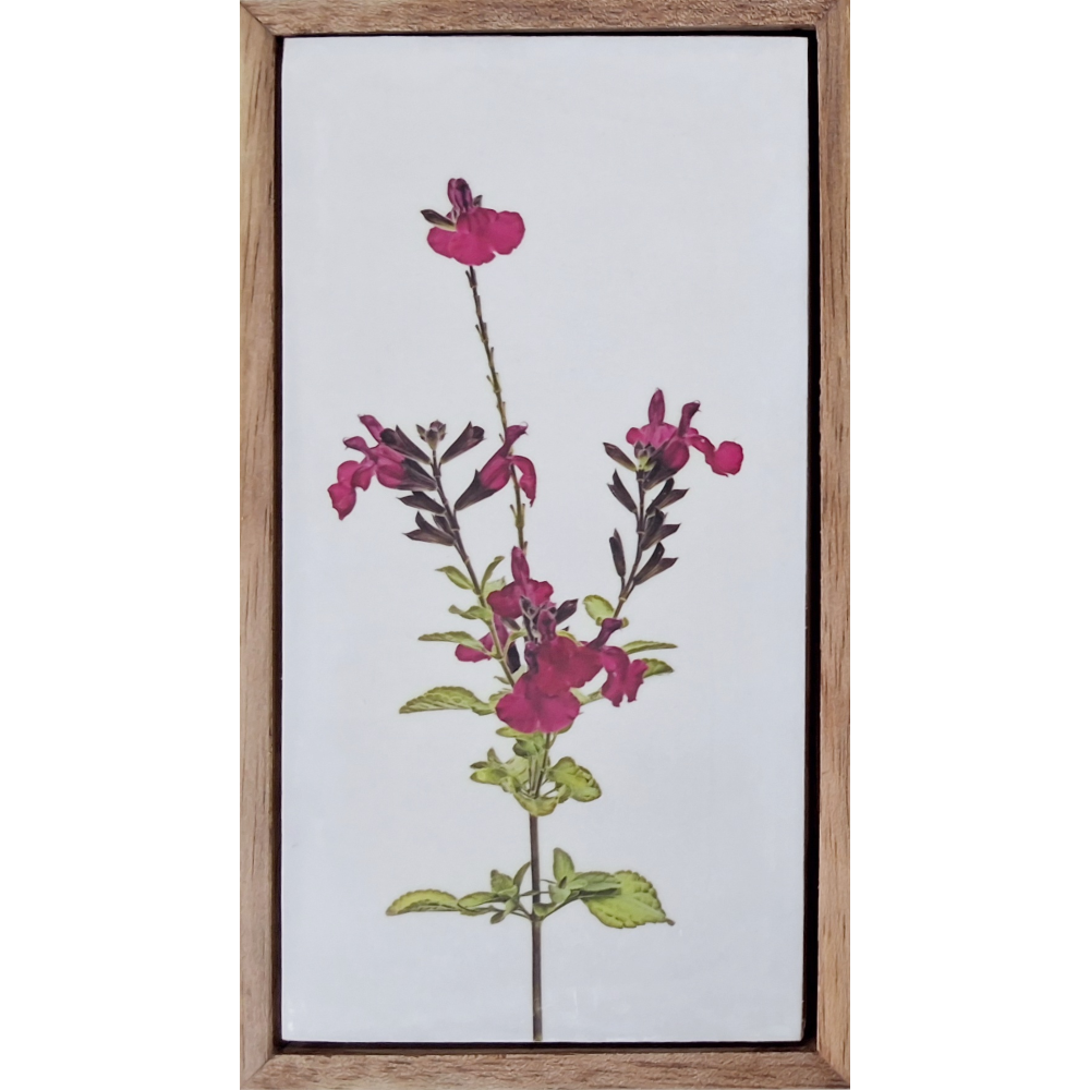 Flowers of Spring 24