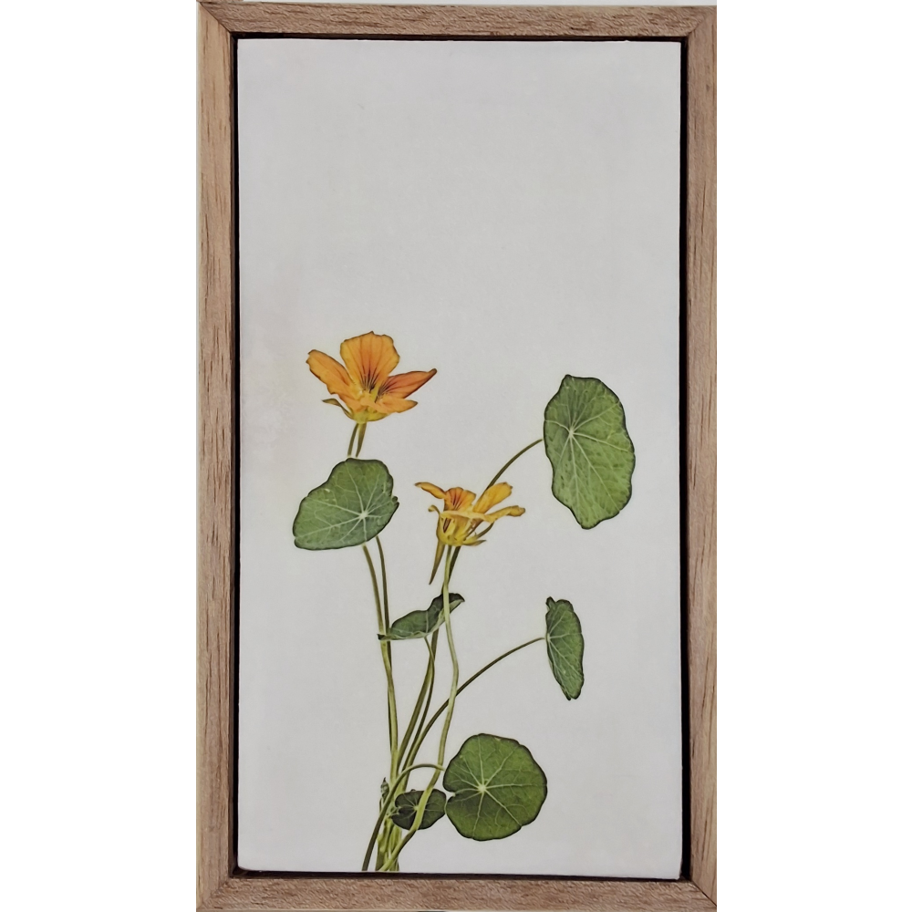 Flowers of Spring 25