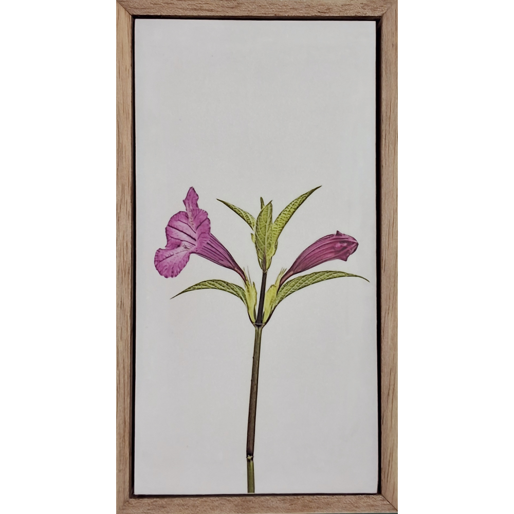 Flowers of Spring 27