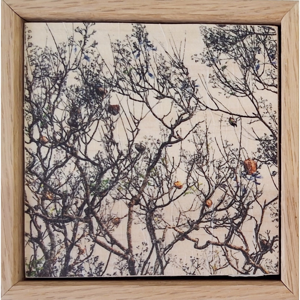 Seeing Through the Trees 21