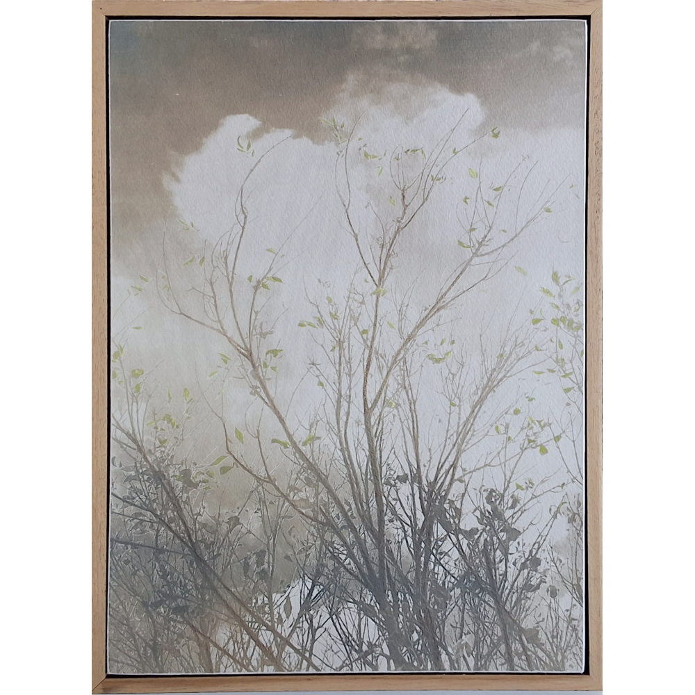 Clouds of Spring Rain