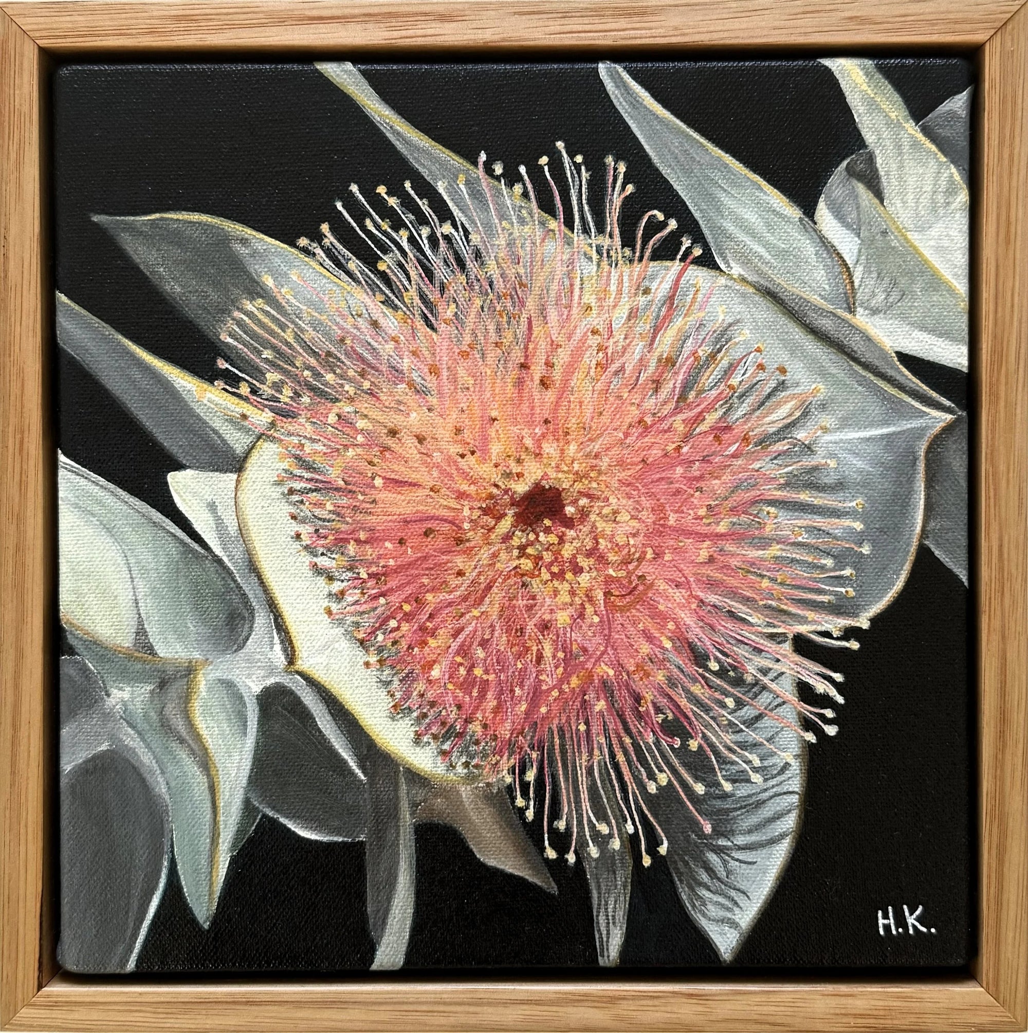 Banner for Hayley Kruger