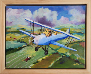 Sky Cats - Blue Biplane