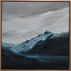 The Last Mountain