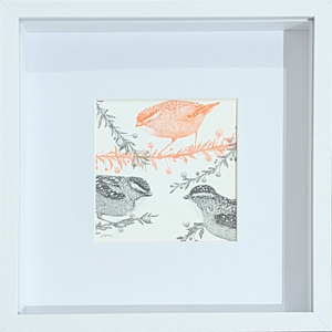 The Pardalote Paradox I