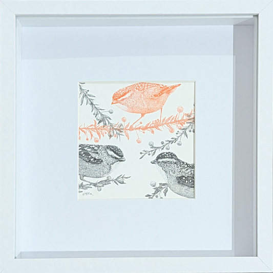 The Pardalote Paradox I