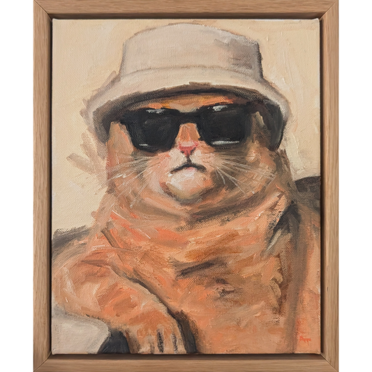 Mr Cool