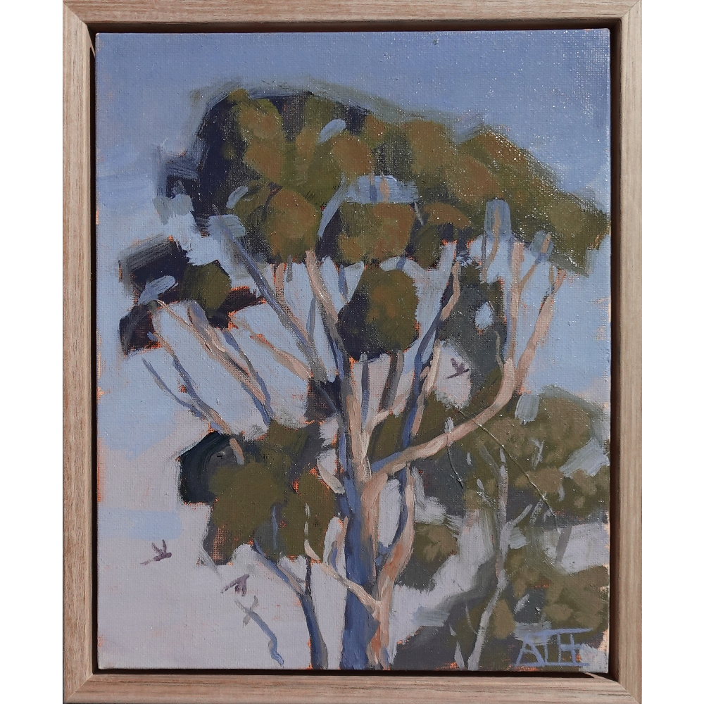 Treetop Wonderings (Inverleigh)