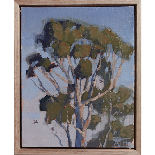 Treetop Wonderings (Inverleigh)