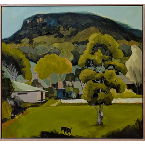 Under the Mountain, from Keira Oval