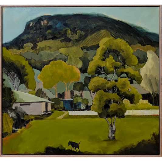 Under the Mountain, from Keira Oval