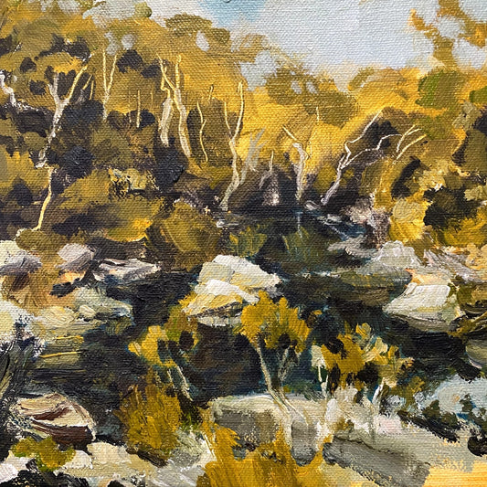 Up the Creek, Royal National Park