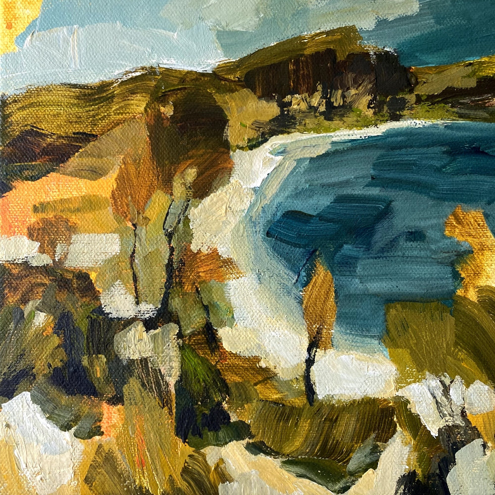 View from Sandon Point, Illawarra Coast