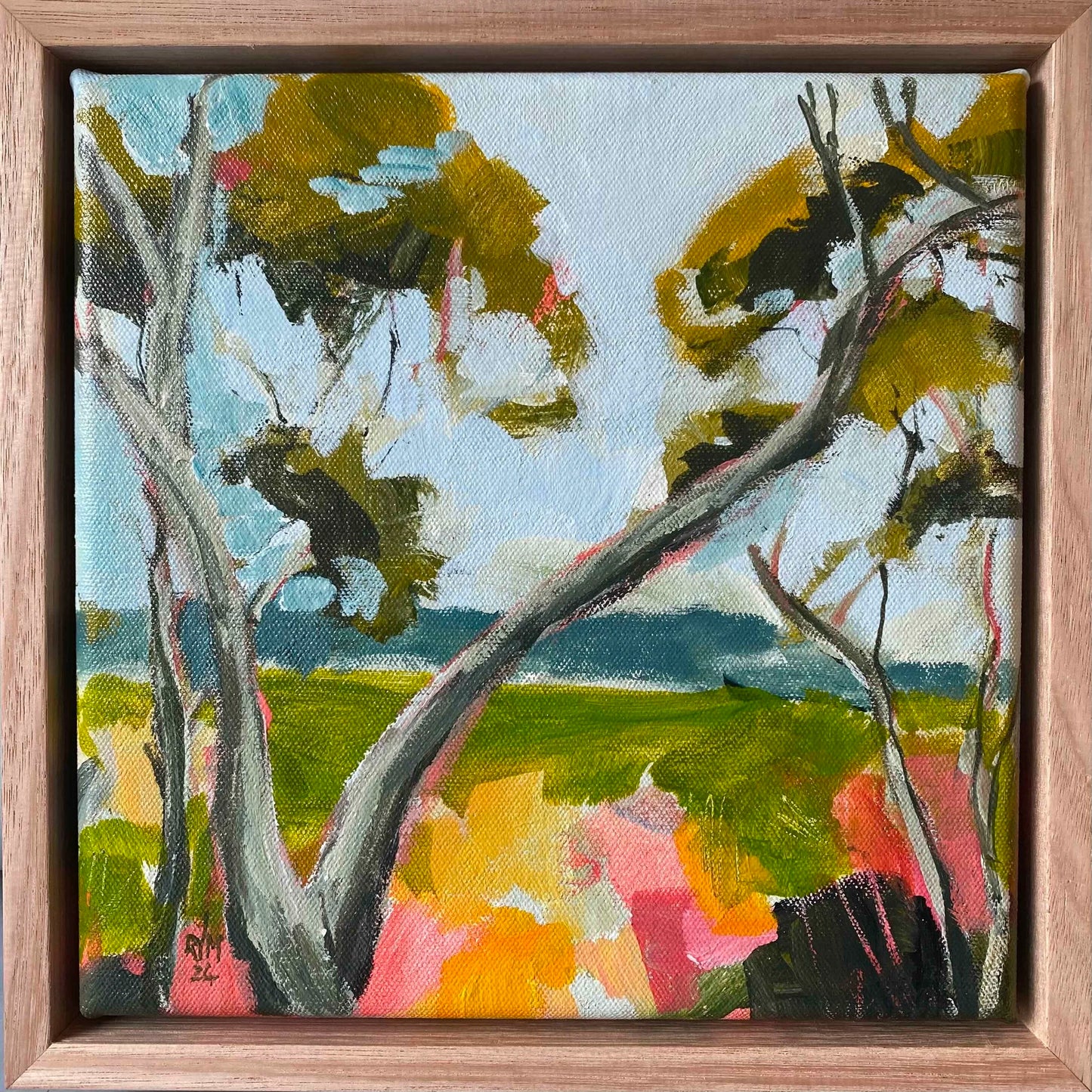 View from under the Scribbly Gum