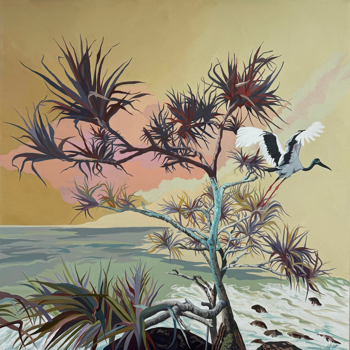 Jabiru Rising