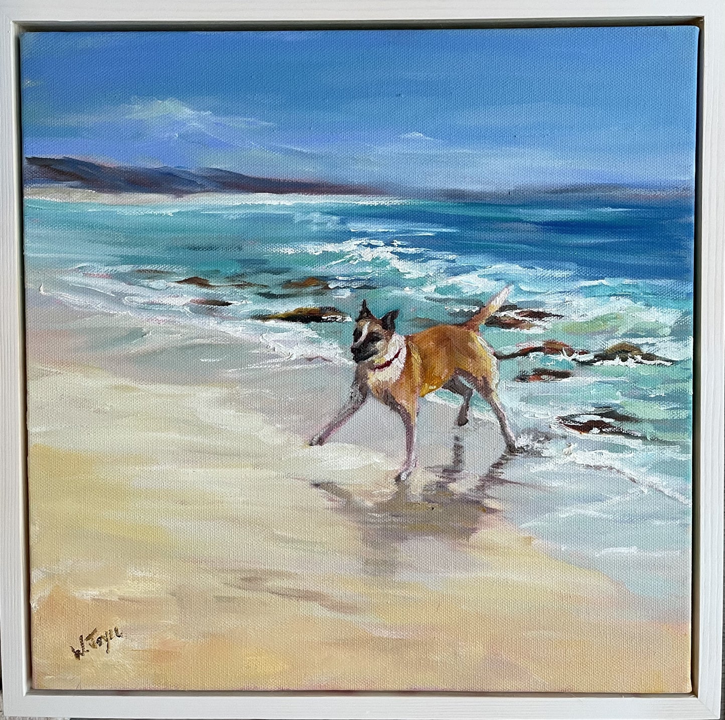 Morning dog walk on Bremer Beach