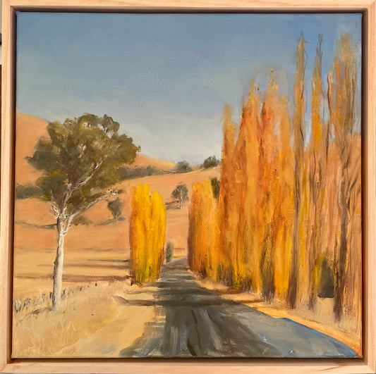Where the Poplars Hold the Sun