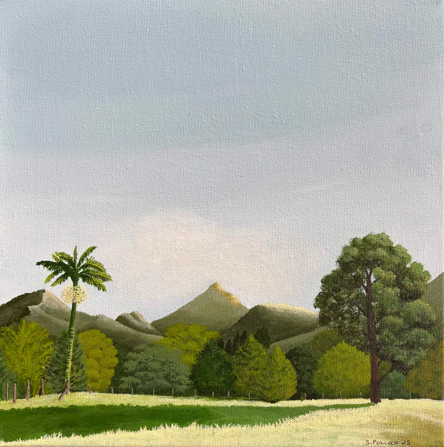 Wollumbin Valley View