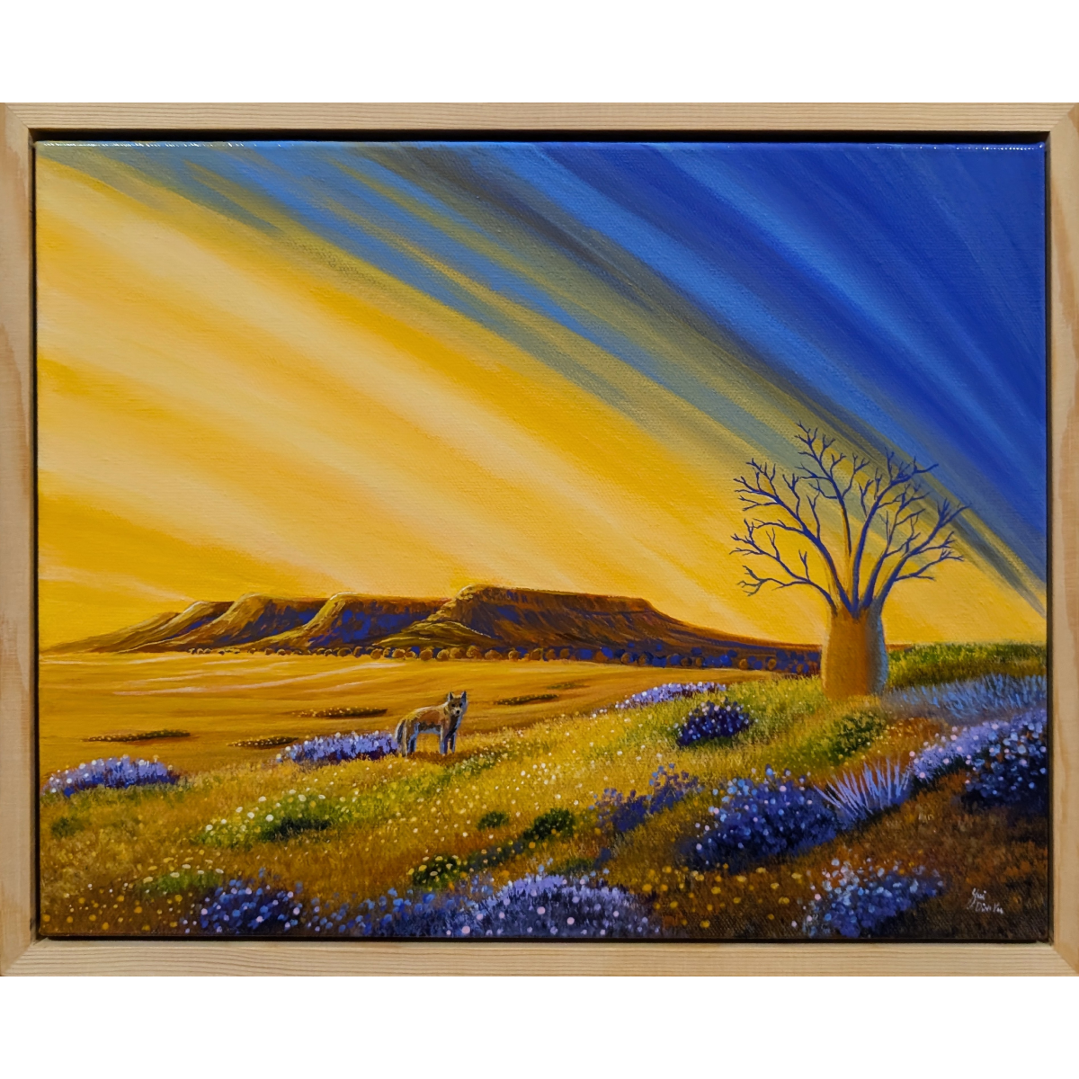 The Boab of Kimberley