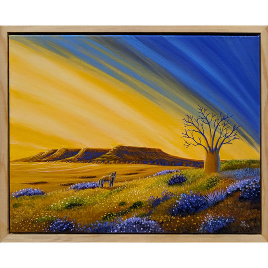 The Boab of Kimberley