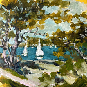 Yachts off Bradleys Head