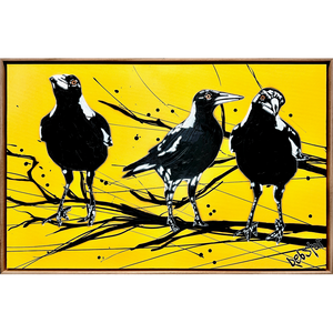 Yellow Magpie Street Birds