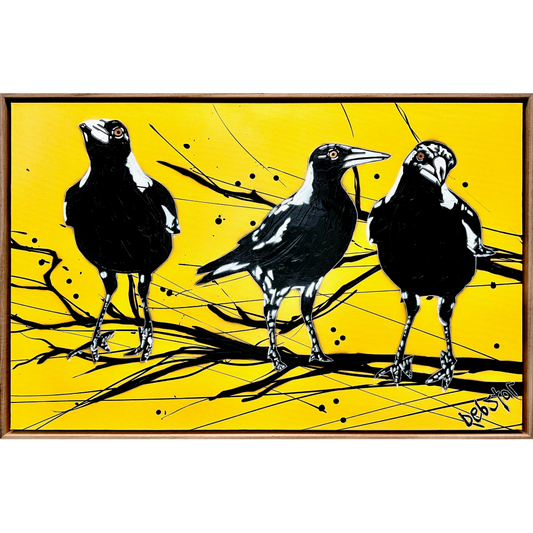 Yellow Magpie Street Birds