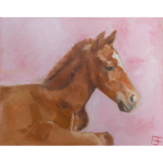 Horse Study #2
